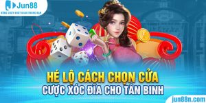 Cách chọn cửa cược xóc đĩa